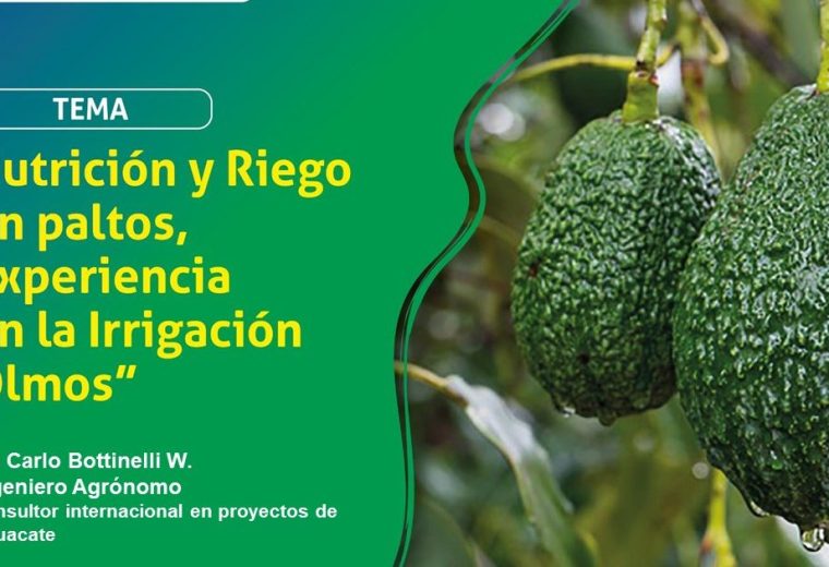 Presentacion Paltos CRop Monitor 2020